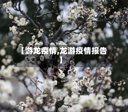 【游龙疫情,龙游疫情报告】