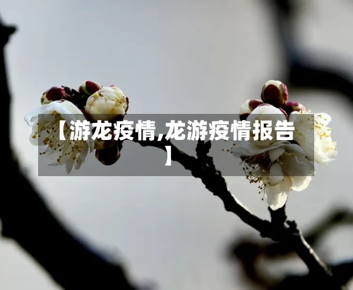 【游龙疫情,龙游疫情报告】-第3张图片