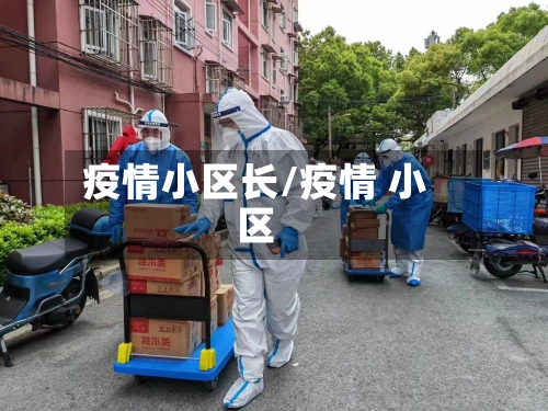 疫情小区长/疫情 小区-第2张图片