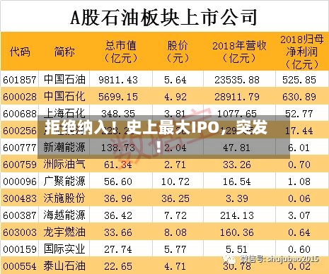 拒绝纳入！史上最大IPO，突发！-第2张图片