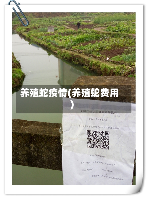 养殖蛇疫情(养殖蛇费用)