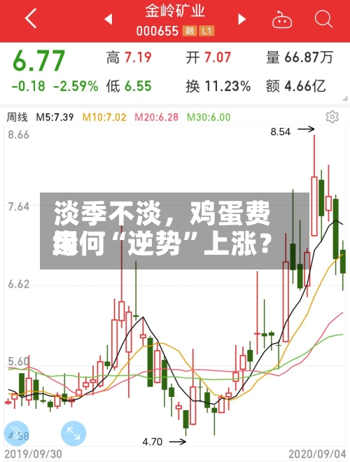 淡季不淡，鸡蛋费用缘何“逆势”上涨？-第2张图片