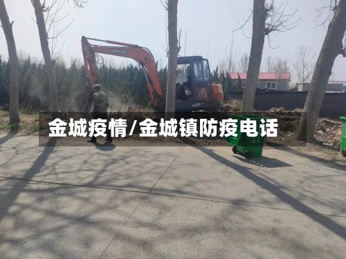金城疫情/金城镇防疫电话-第3张图片