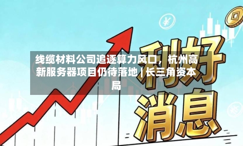 线缆材料公司追逐算力风口	，杭州高新服务器项目仍待落地 | 长三角资本局-第3张图片