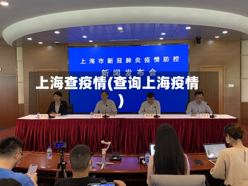 上海查疫情(查询上海疫情)-第2张图片
