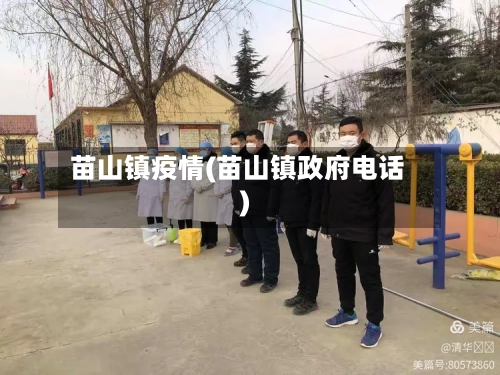 苗山镇疫情(苗山镇政府电话)