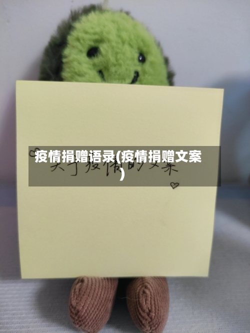 疫情捐赠语录(疫情捐赠文案)