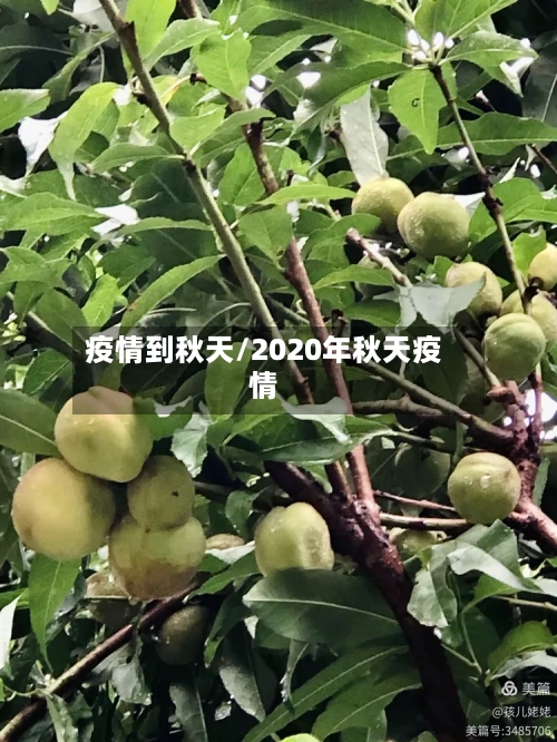 疫情到秋天/2020年秋天疫情