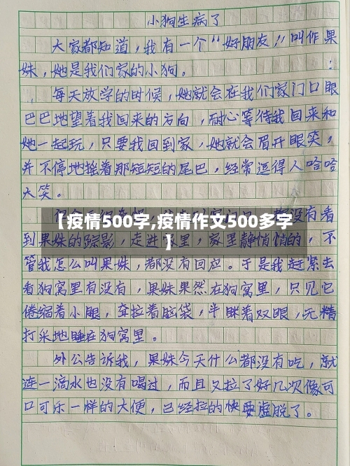 【疫情500字,疫情作文500多字】
