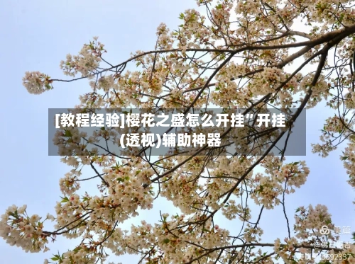 [教程经验]樱花之盛怎么开挂”开挂(透视)辅助神器-第2张图片
