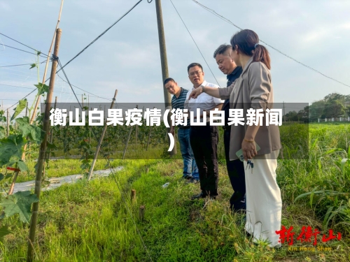 衡山白果疫情(衡山白果新闻)-第2张图片