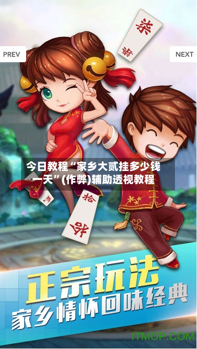 今日教程“家乡大贰挂多少钱一天	”(作弊)辅助透视教程-第3张图片