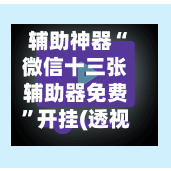 辅助神器“微信十三张辅助器免费”开挂(透视)最新辅助详细-第2张图片