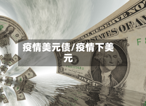 疫情美元债/疫情下美元