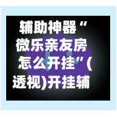 辅助神器“微乐亲友房怎么开挂”(透视)开挂辅助脚本+详细开挂安装教程-第3张图片