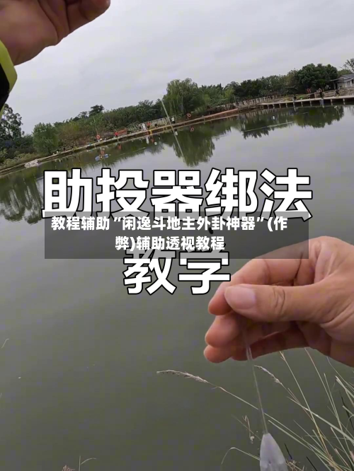 教程辅助“闲逸斗地主外卦神器”(作弊)辅助透视教程-第3张图片