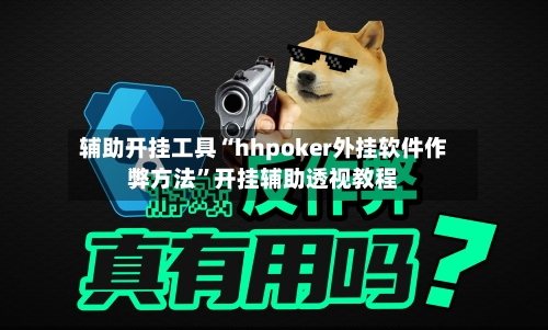 辅助开挂工具“hhpoker外挂软件作弊方法”开挂辅助透视教程-第2张图片