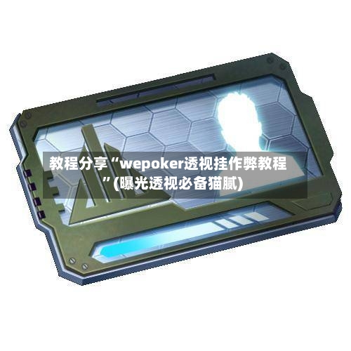 教程分享“wepoker透视挂作弊教程”(曝光透视必备猫腻)