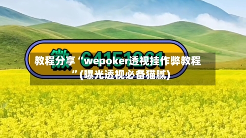 教程分享“wepoker透视挂作弊教程”(曝光透视必备猫腻)-第2张图片