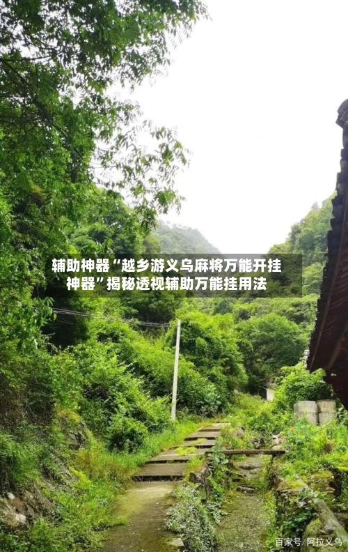 辅助神器“越乡游义乌麻将万能开挂神器”揭秘透视辅助万能挂用法-第2张图片