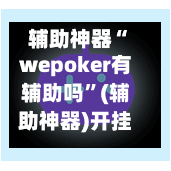 辅助神器“wepoker有辅助吗	”(辅助神器)开挂详细教程-第2张图片