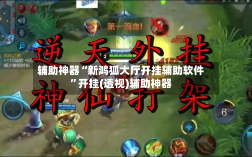 辅助神器“新鸿狐大厅开挂辅助软件”开挂(透视)辅助神器-第3张图片