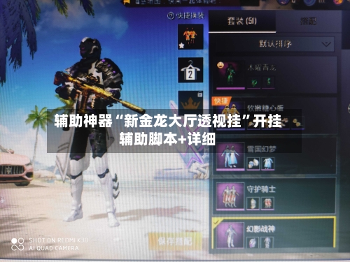 辅助神器“新金龙大厅透视挂	”开挂辅助脚本+详细-第2张图片