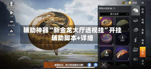 辅助神器“新金龙大厅透视挂”开挂辅助脚本+详细-第3张图片