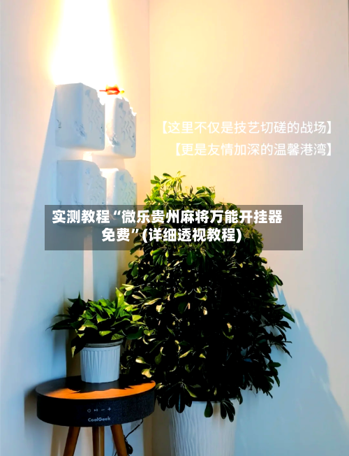 实测教程“微乐贵州麻将万能开挂器免费	”(详细透视教程)-第2张图片