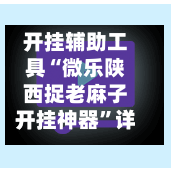 开挂辅助工具“微乐陕西捉老麻子开挂神器”详细分享装挂步骤教程-第3张图片