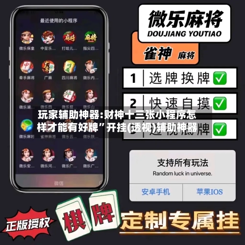 玩家辅助神器:财神十三张小程序怎样才能有好牌”开挂(透视)辅助神器-第3张图片