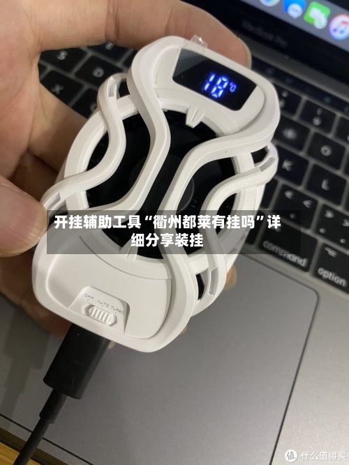 开挂辅助工具“衢州都莱有挂吗	”详细分享装挂-第2张图片