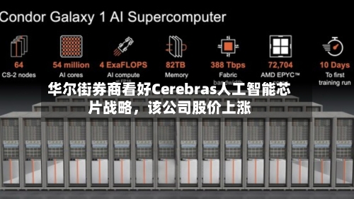 华尔街券商看好Cerebras人工智能芯片战略，该公司股价上涨-第2张图片