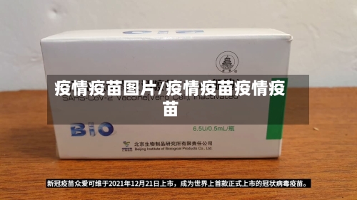 疫情疫苗图片/疫情疫苗疫情疫苗-第3张图片