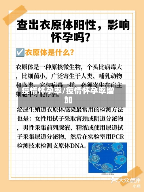 疫情怀孕率/疫情怀孕率增加