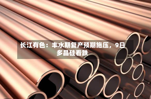 长江有色：丰水期复产预期施压，9日多晶硅看跌-第2张图片
