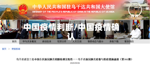 中国疫情判断/中国疫情确认-第2张图片