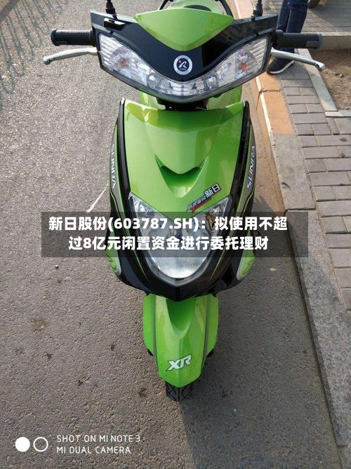 新日股份(603787.SH):拟使用不超过8亿元闲置资金进行委托理财-第2张图片