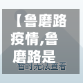 【鲁磨路疫情,鲁磨路是什么街道】-第3张图片