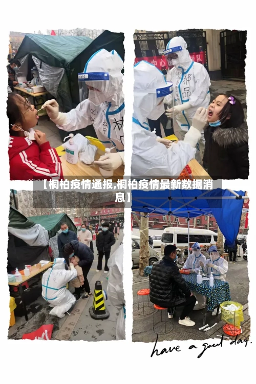 【桐柏疫情通报,桐柏疫情最新数据消息】