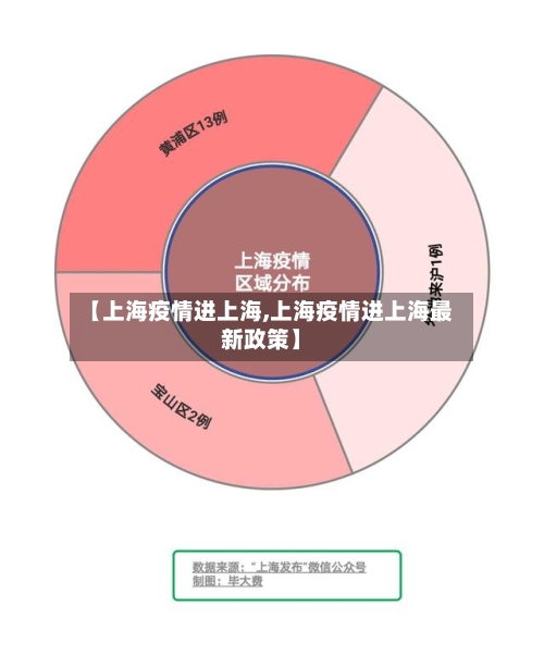 【上海疫情进上海,上海疫情进上海最新政策】-第2张图片