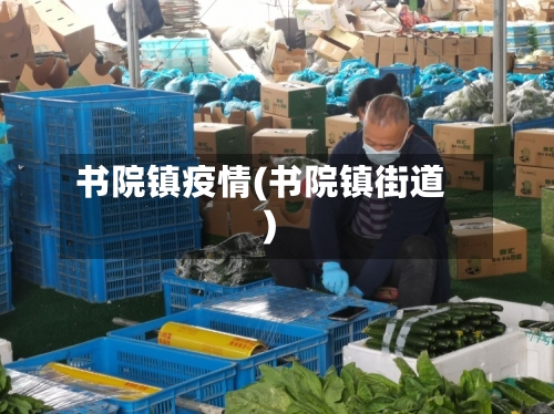 书院镇疫情(书院镇街道)-第3张图片
