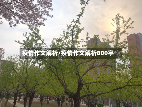 疫情作文解析/疫情作文解析800字