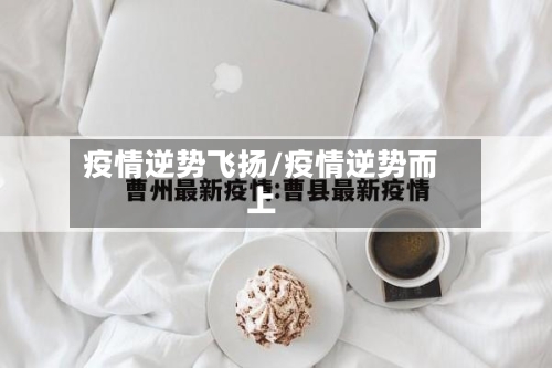 疫情逆势飞扬/疫情逆势而上-第3张图片