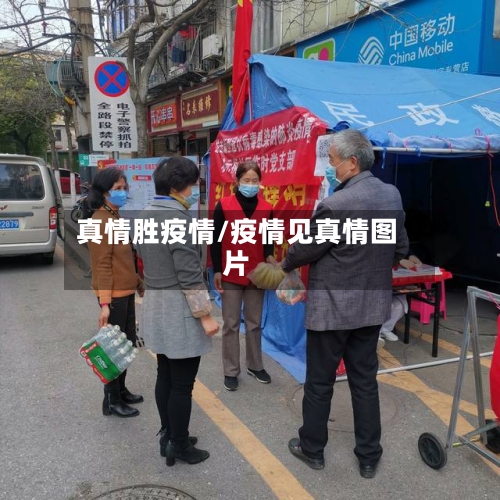 真情胜疫情/疫情见真情图片