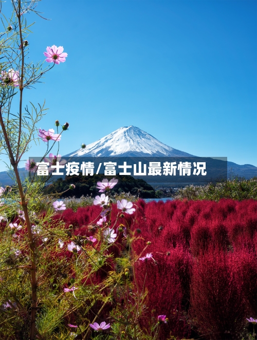 富士疫情/富士山最新情况