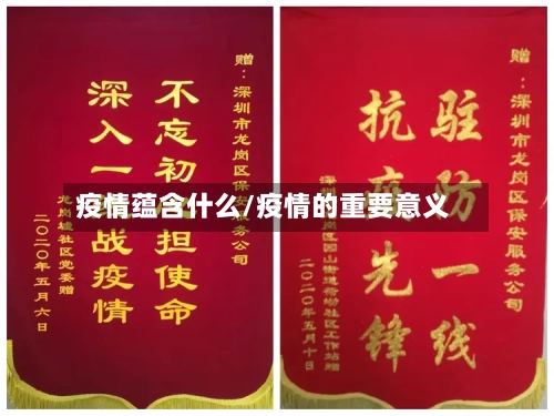 疫情蕴含什么/疫情的重要意义