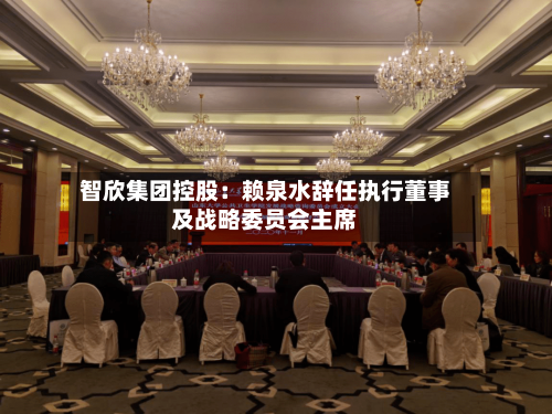 智欣集团控股：赖泉水辞任执行董事及战略委员会主席-第2张图片