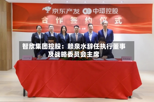 智欣集团控股：赖泉水辞任执行董事及战略委员会主席