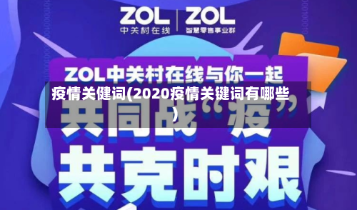 疫情关健词(2020疫情关键词有哪些)